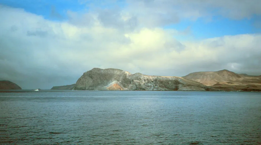 Guadalupe Island