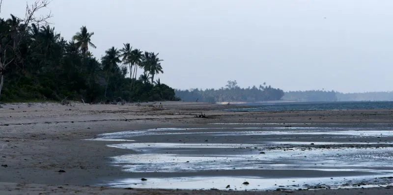 Saadani National Park
