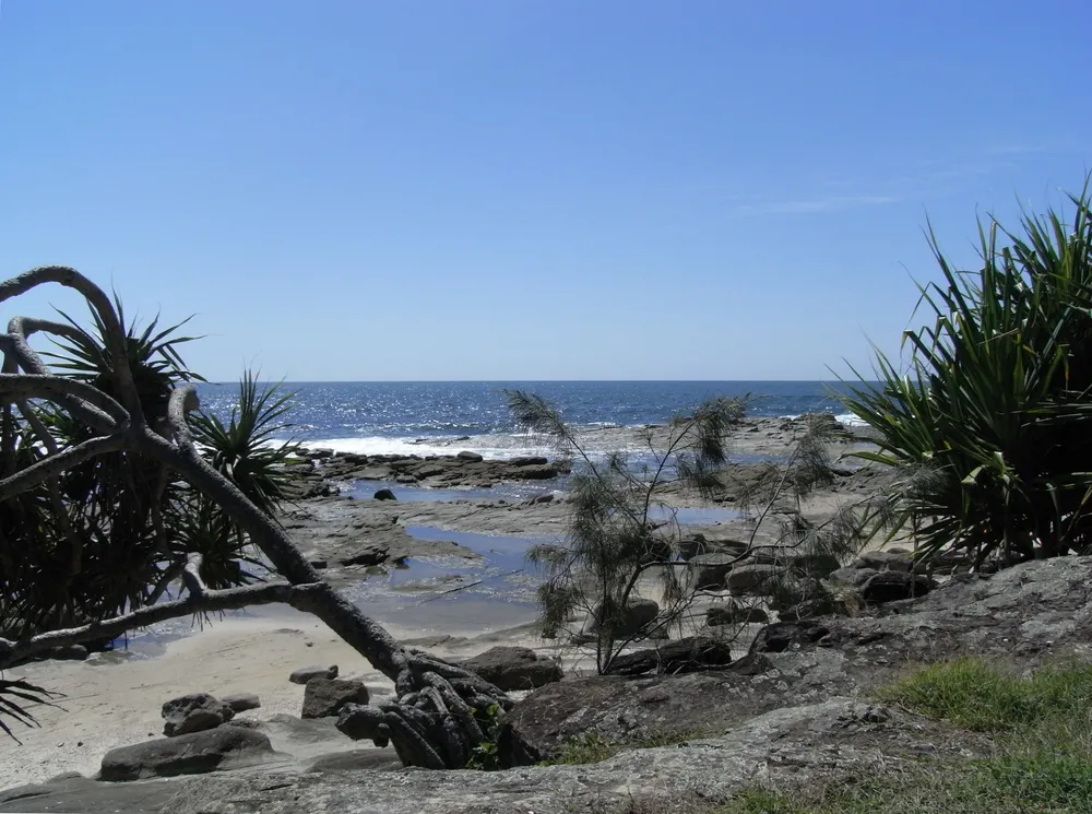 Bundjalung National Park