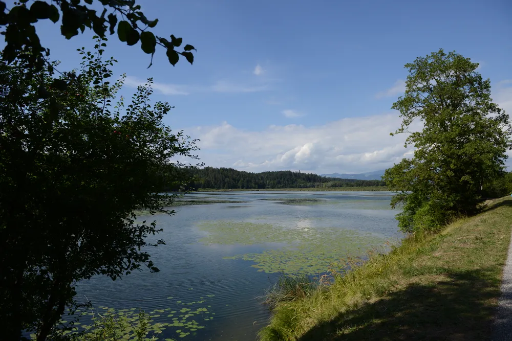 Gösselsdorfer See