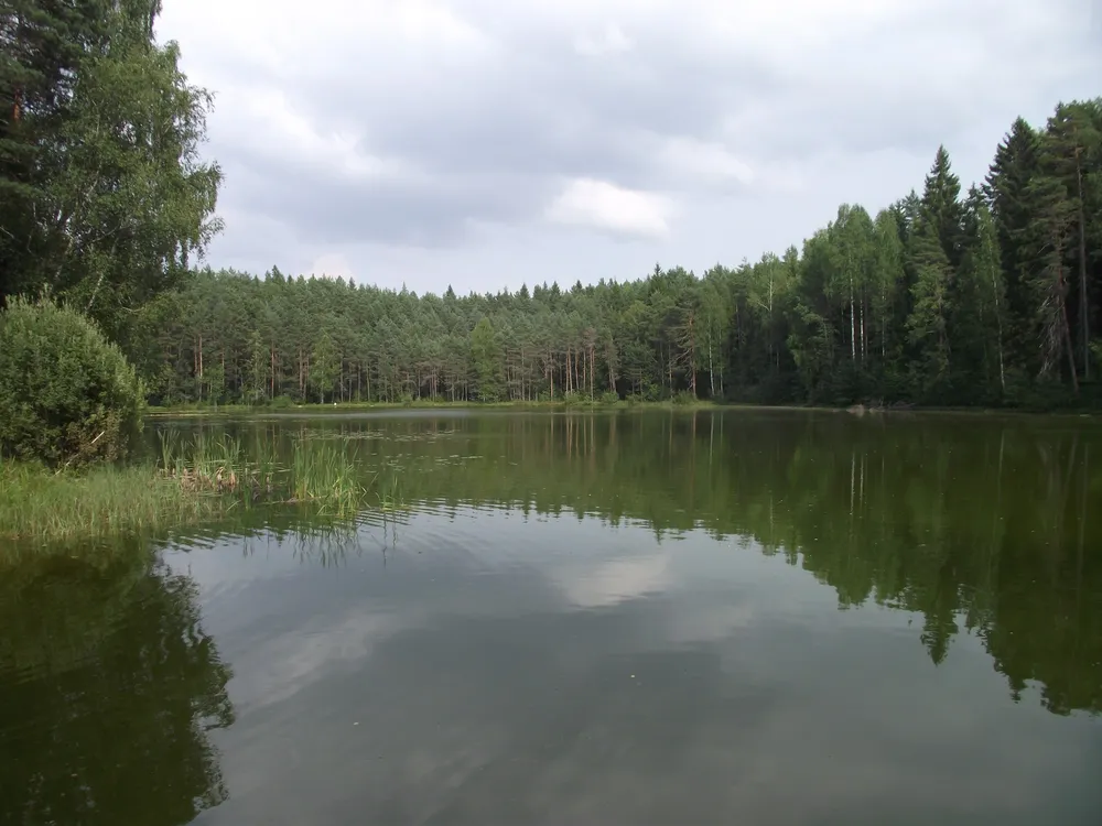 Pesujärv