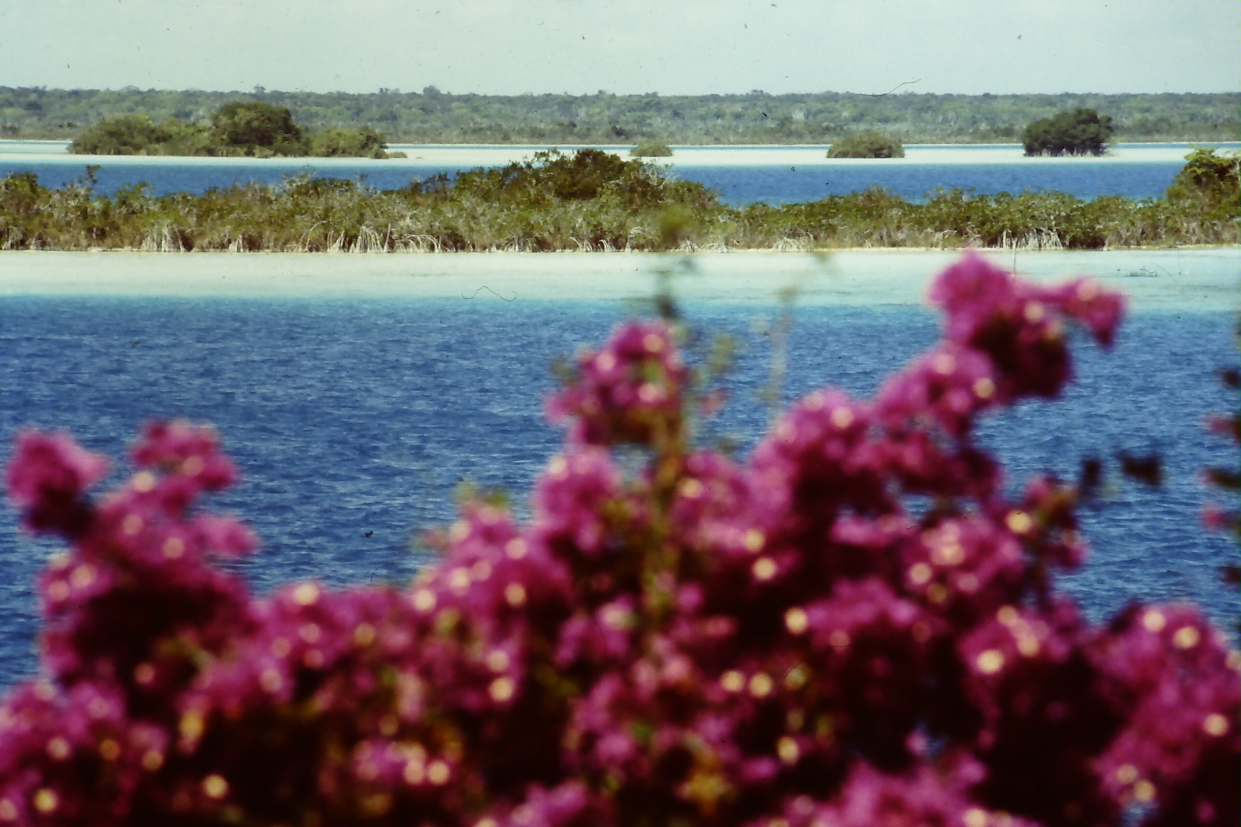 Lake Bacalar