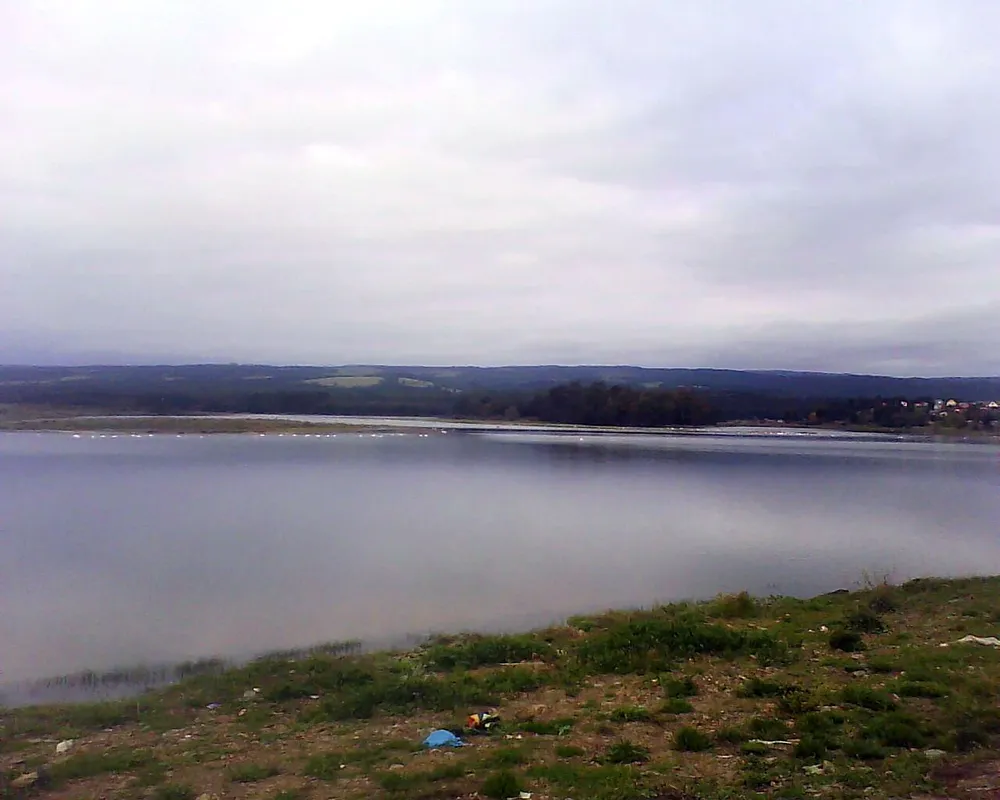 Petrel Lake