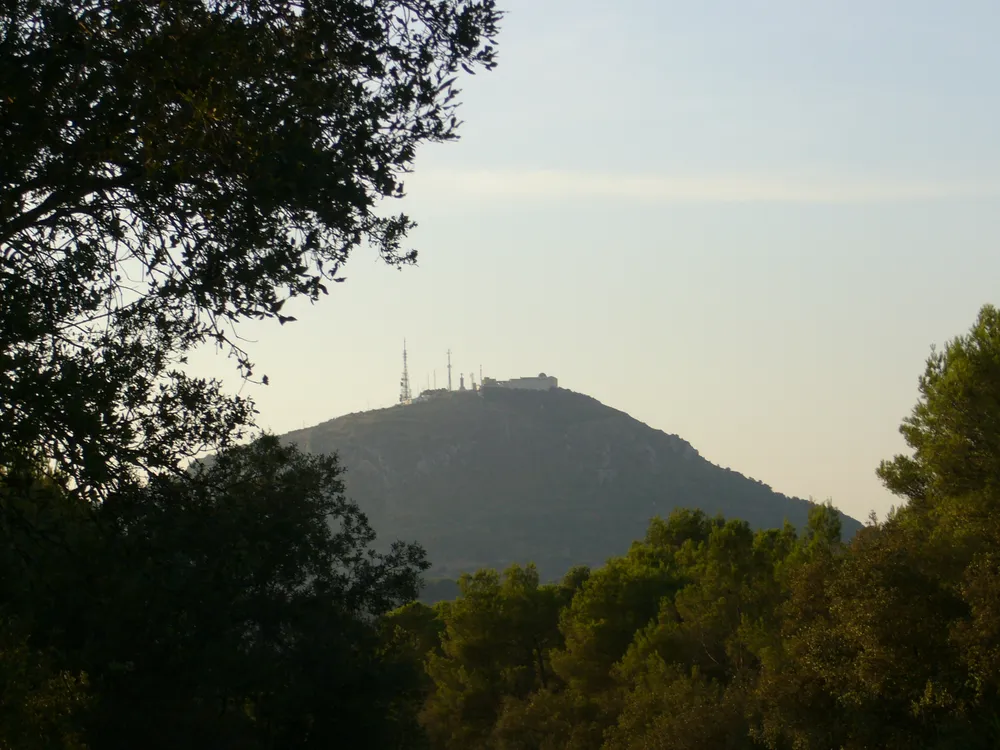 El Toro