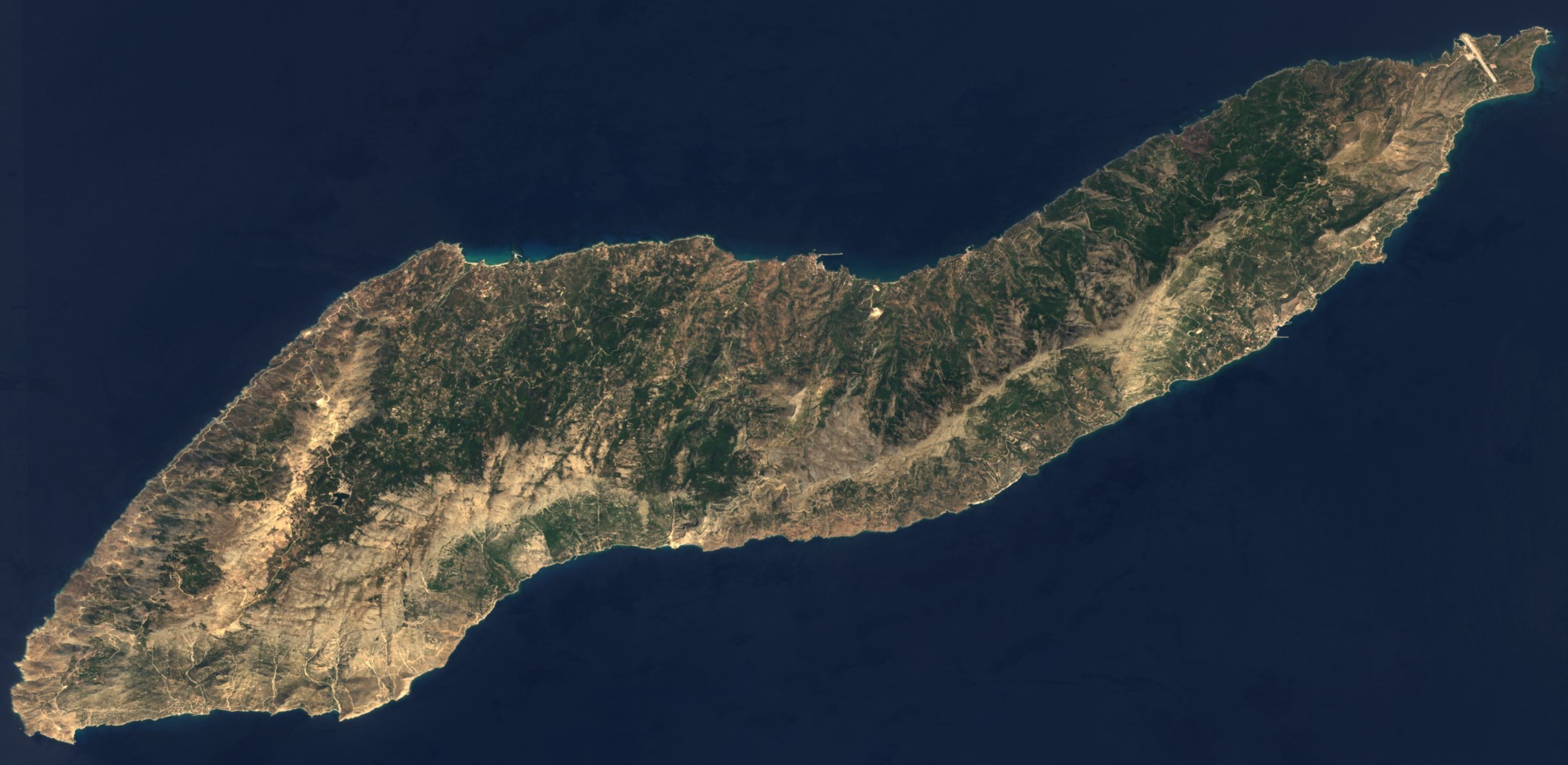 Icaria