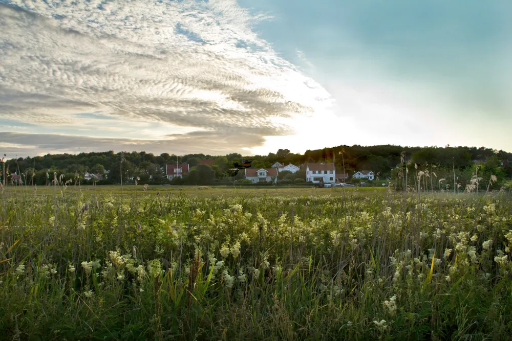 Brännö