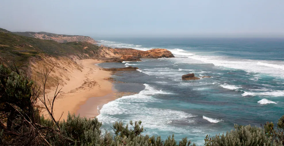 Cheviot Beach