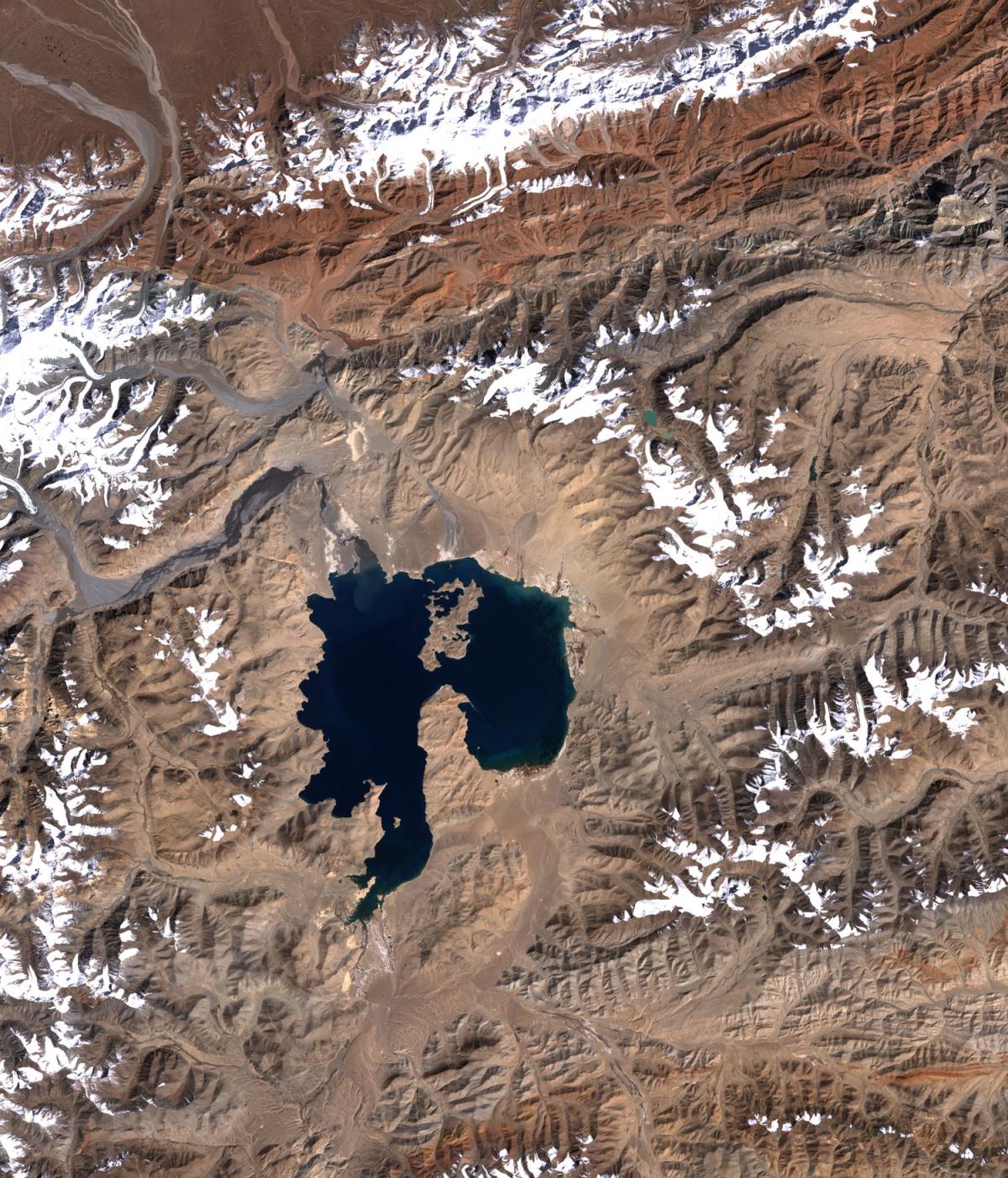 Karakul