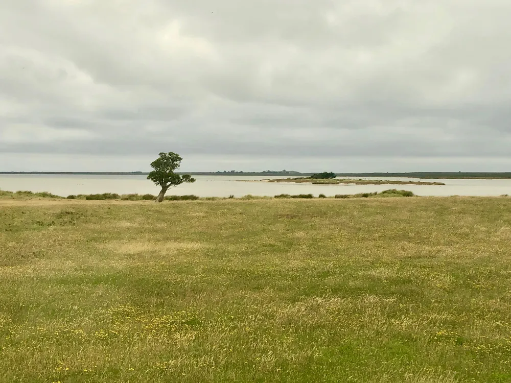 Rangitahi Lake
