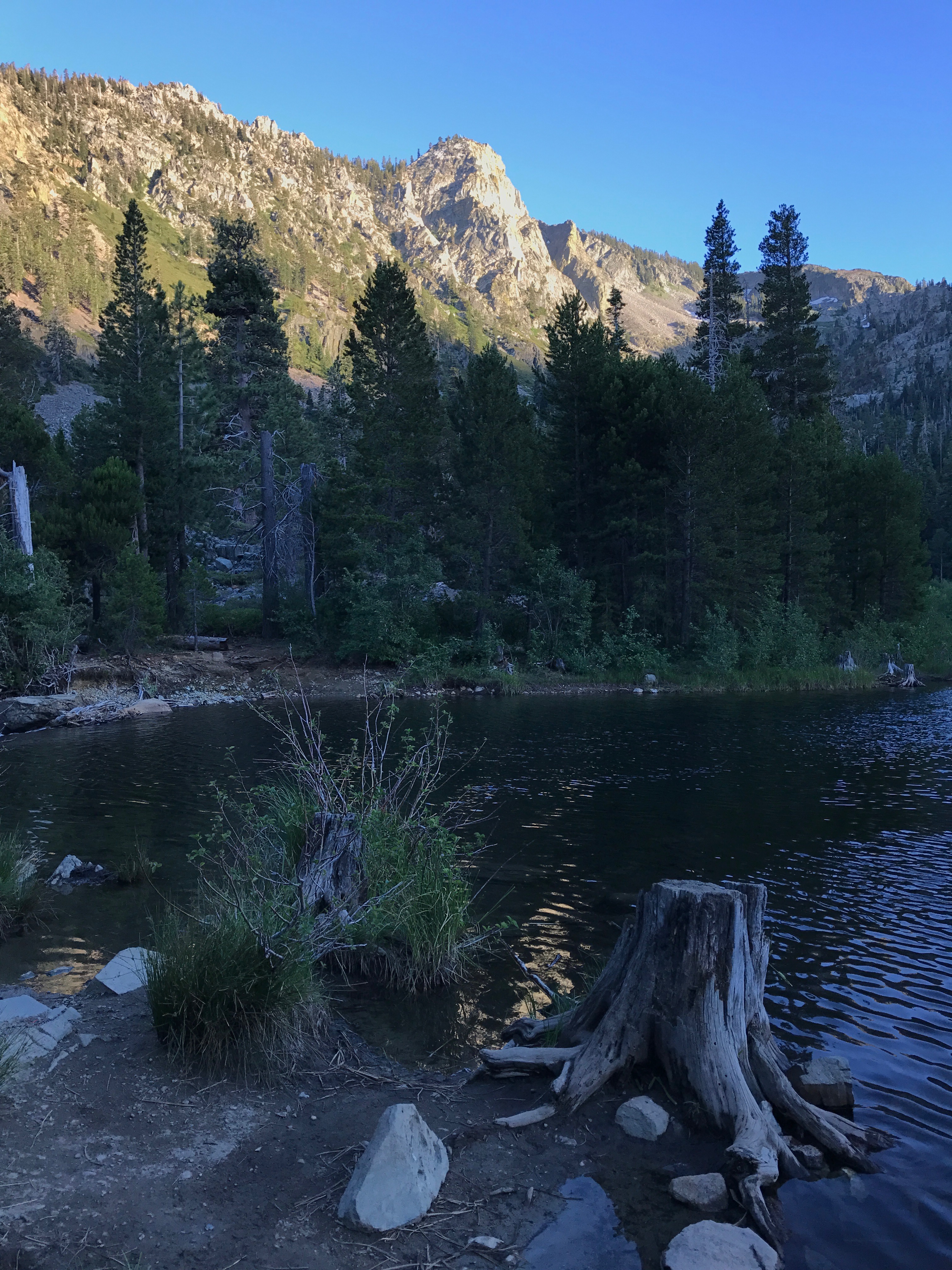 Angora Peak