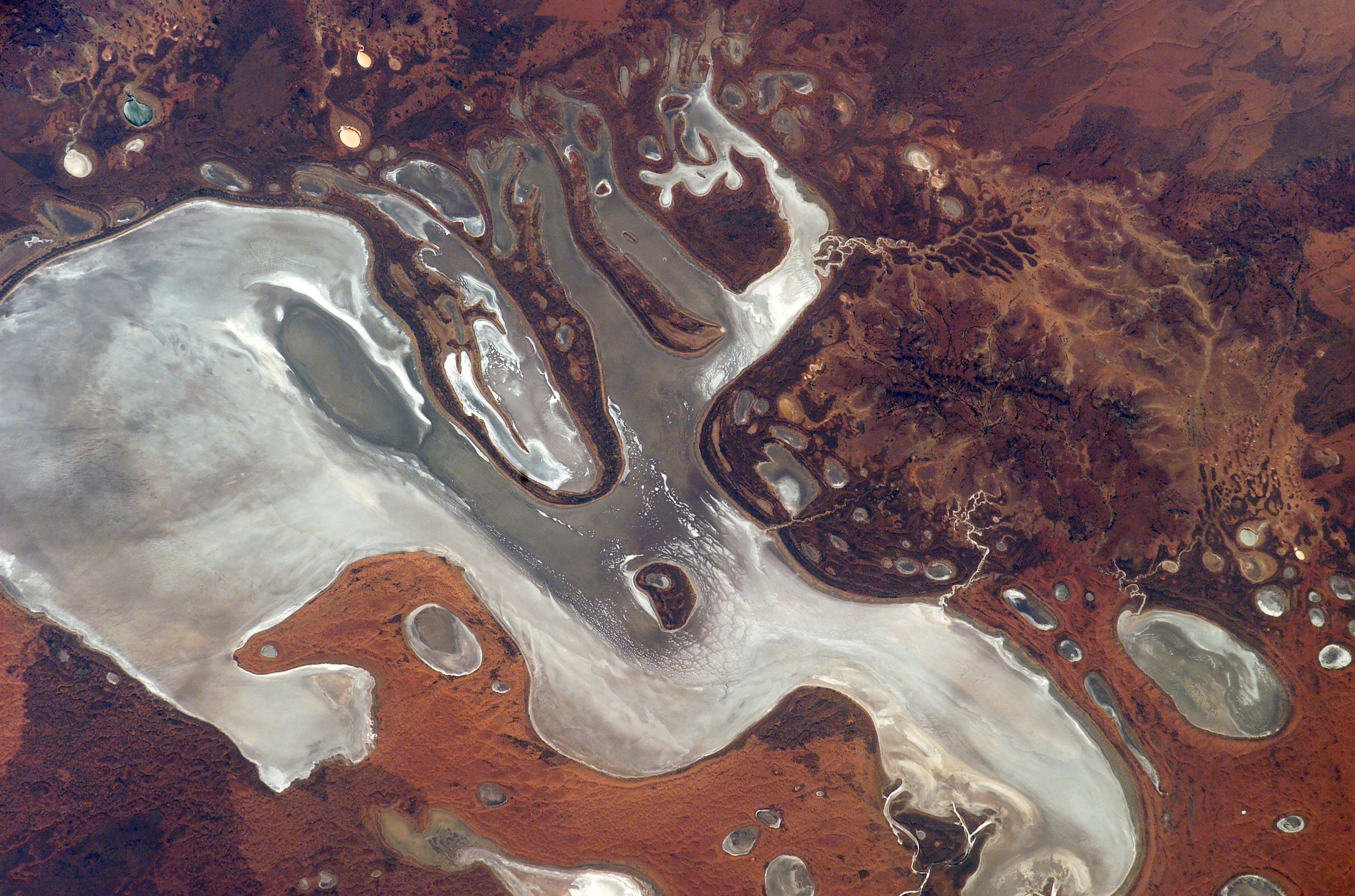 Lake Burnside