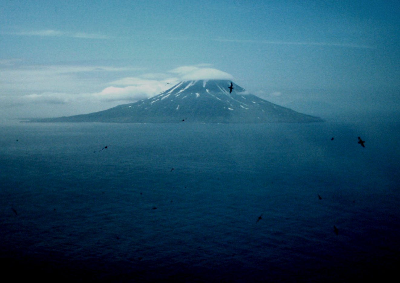 Matua