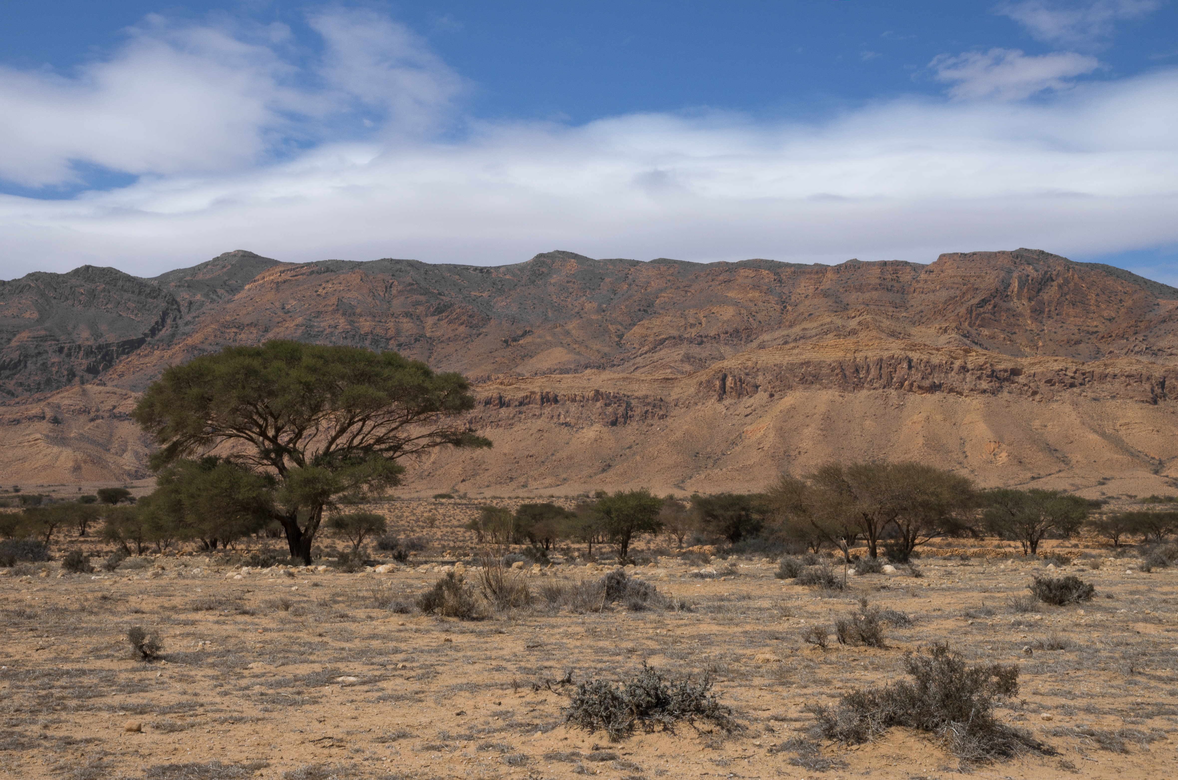 Bou-Hedma National Park