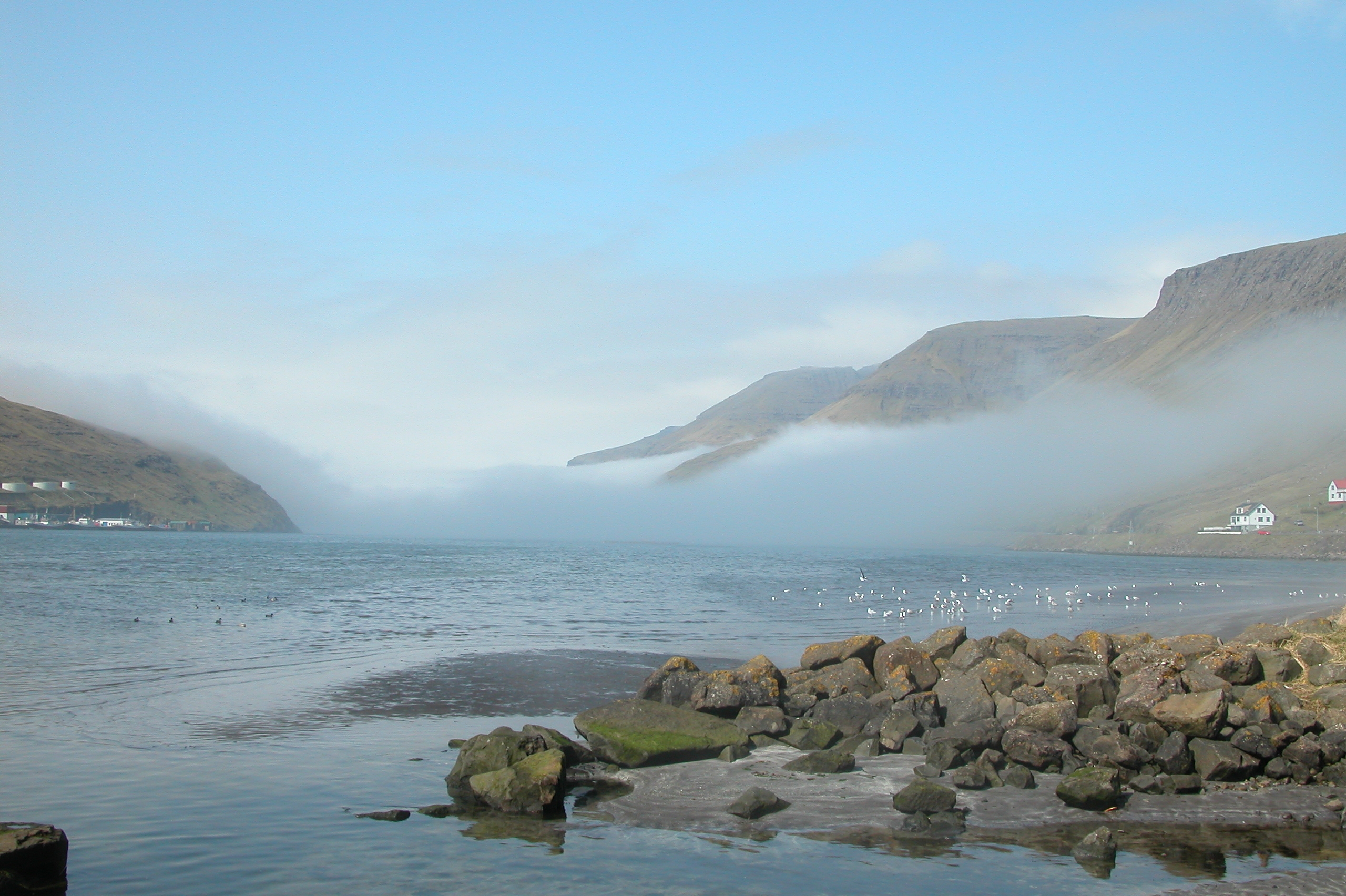 Skerhólmur