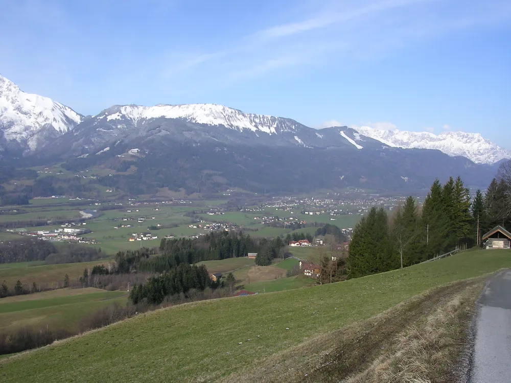 Ahornbüchsenkopf