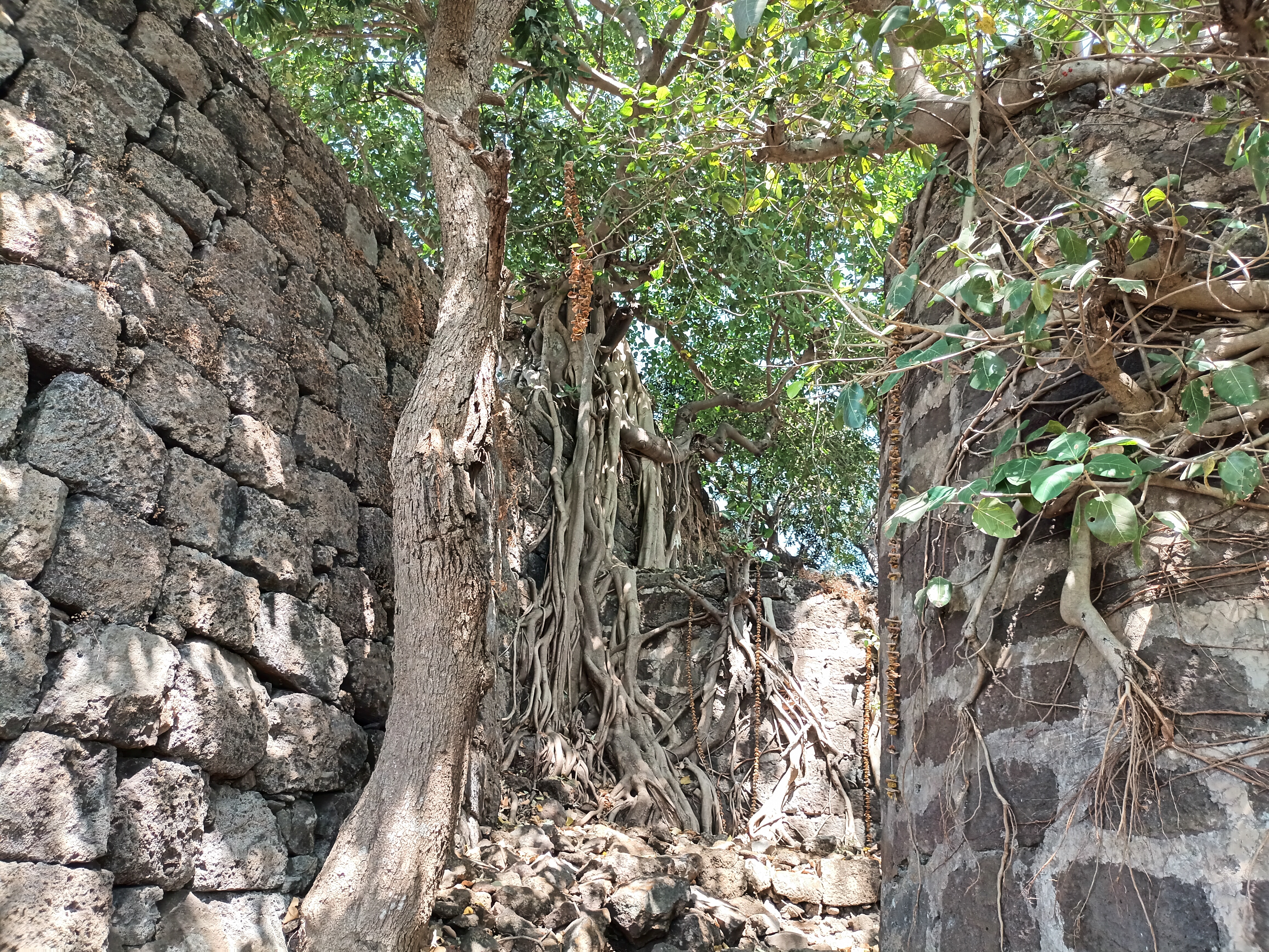 Bhavangad Fort