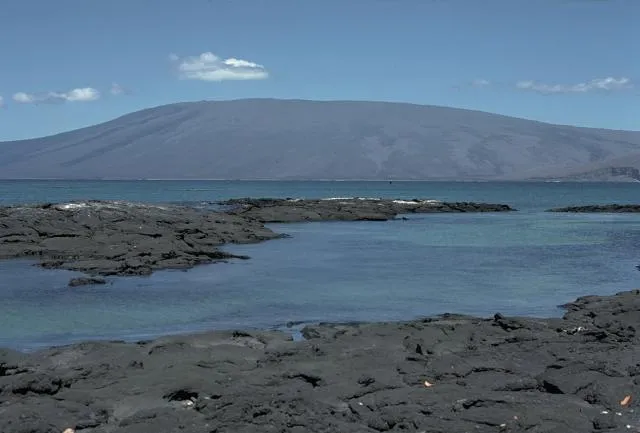 Volcán Darwin