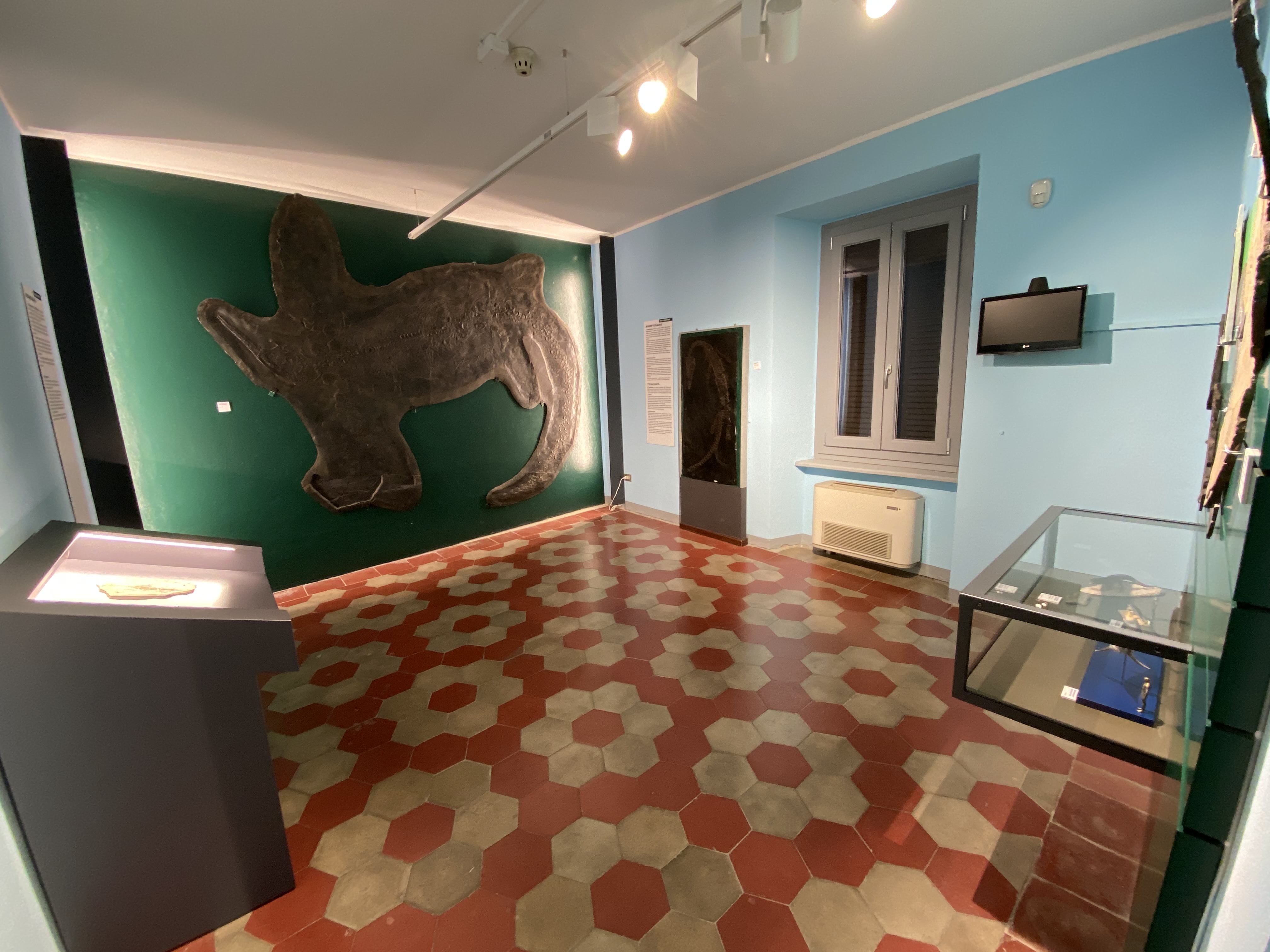Civic Museum of Fossils of Besano