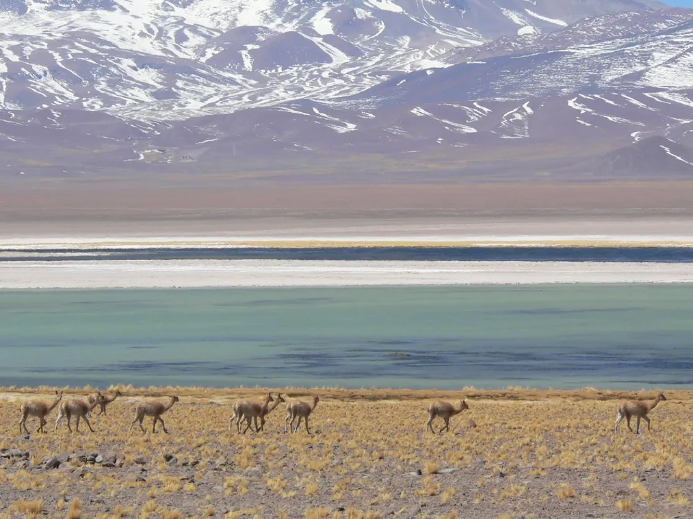 Nevado Tres Cruces National Park