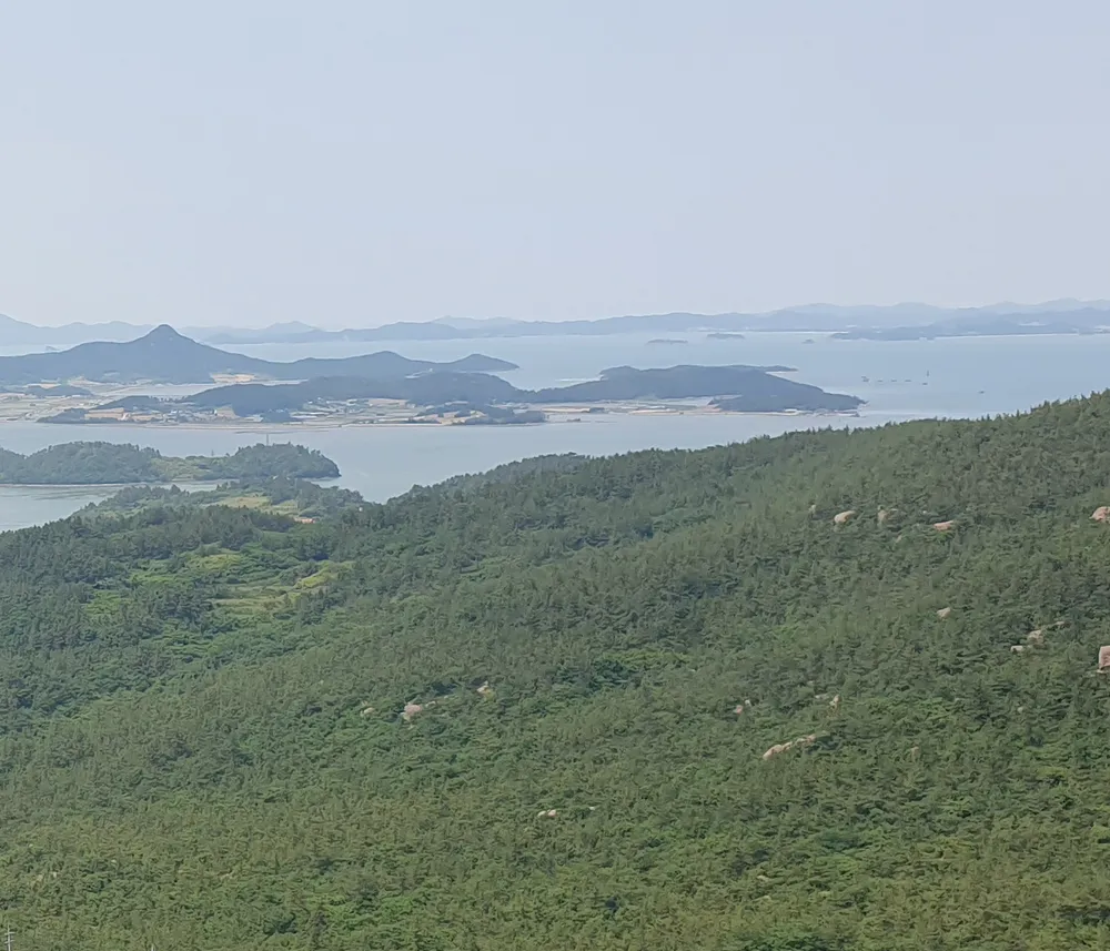 Amtaedo
