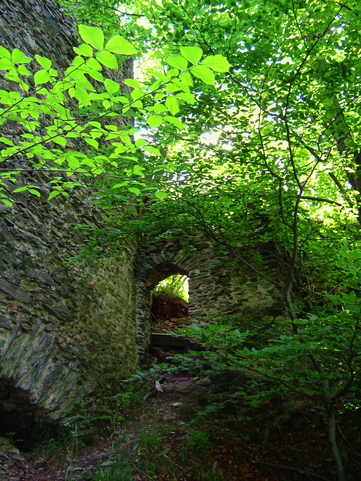 Niesytno Castle