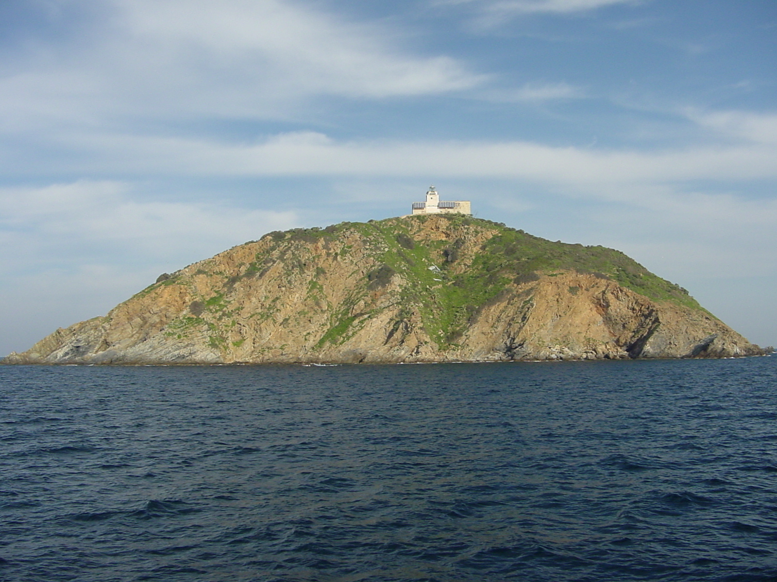 Palmaiola