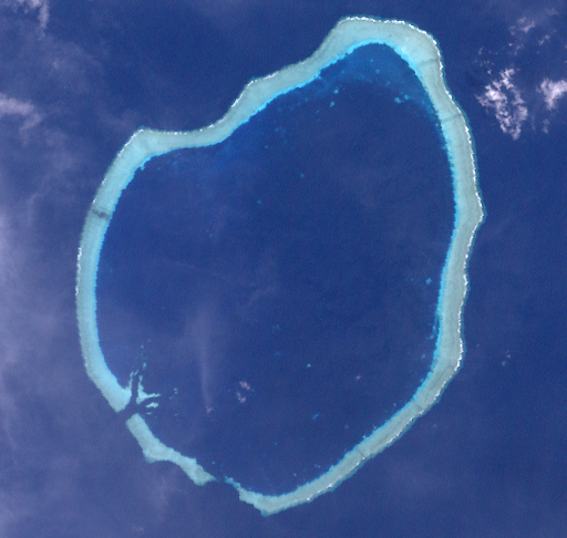 Roncador Reef