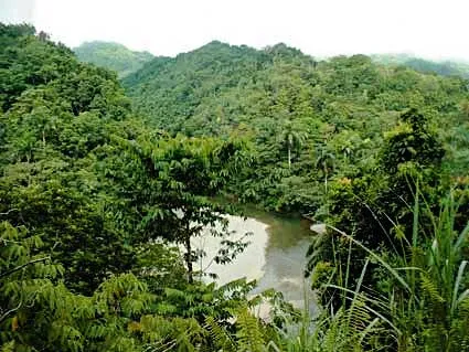 Alexander von Humboldt National Park