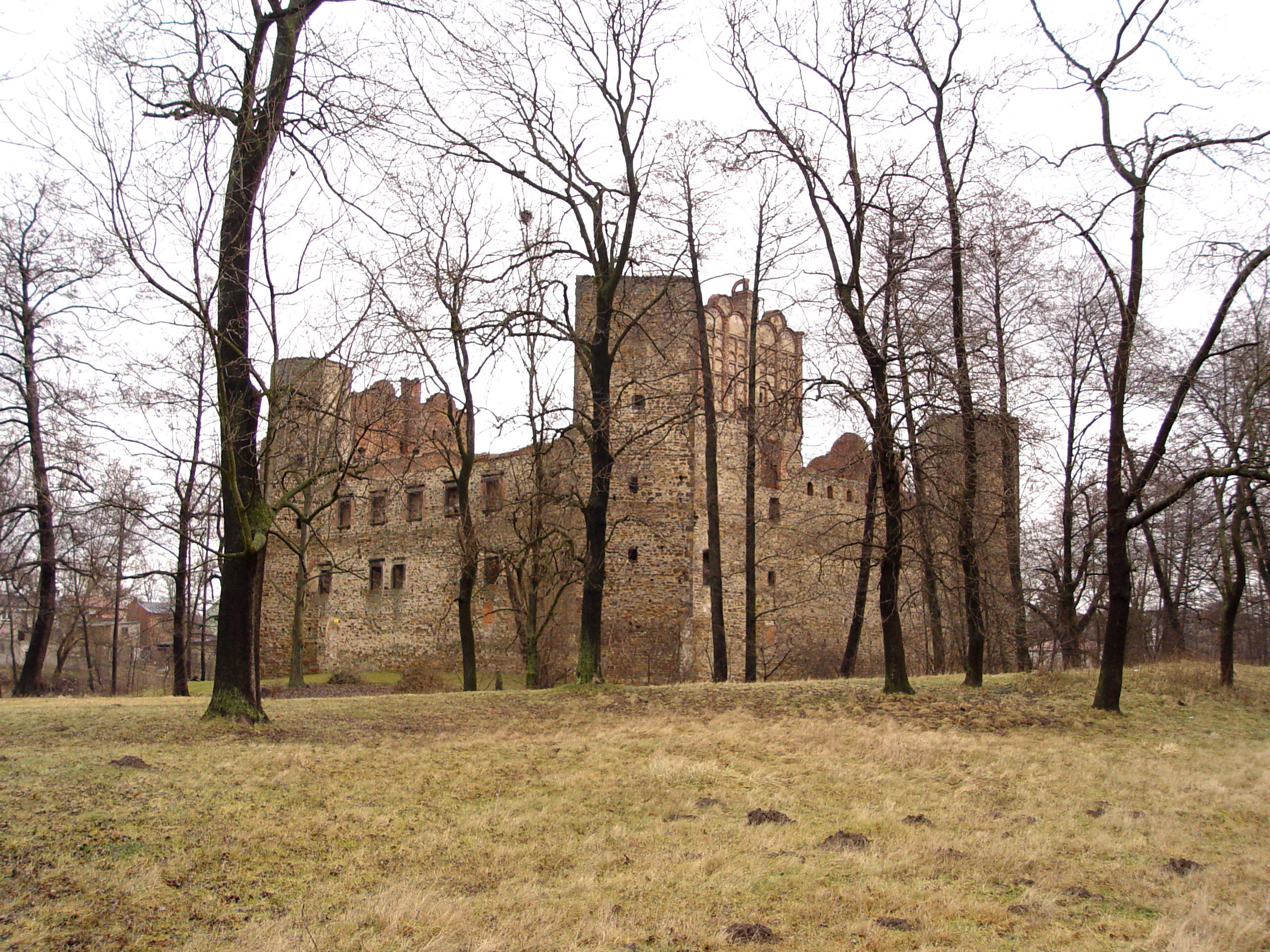 Drzewica Castle