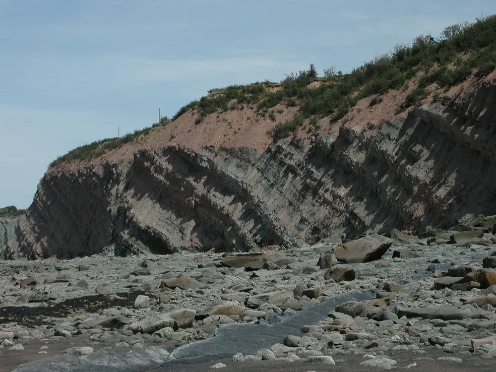 Joggins Fossil Cliffs