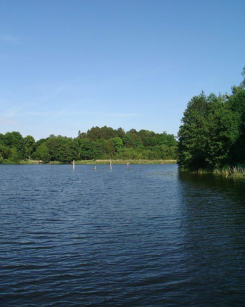 Laduviken