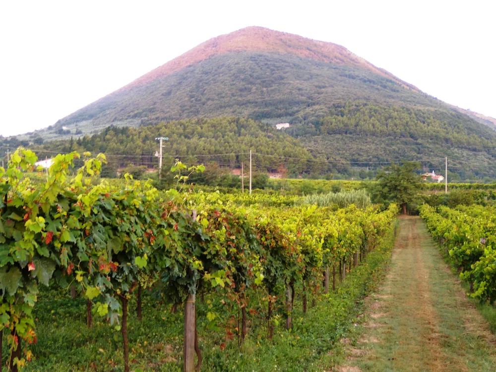 Monte Acero