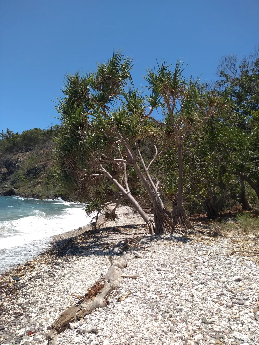 Conway National Park