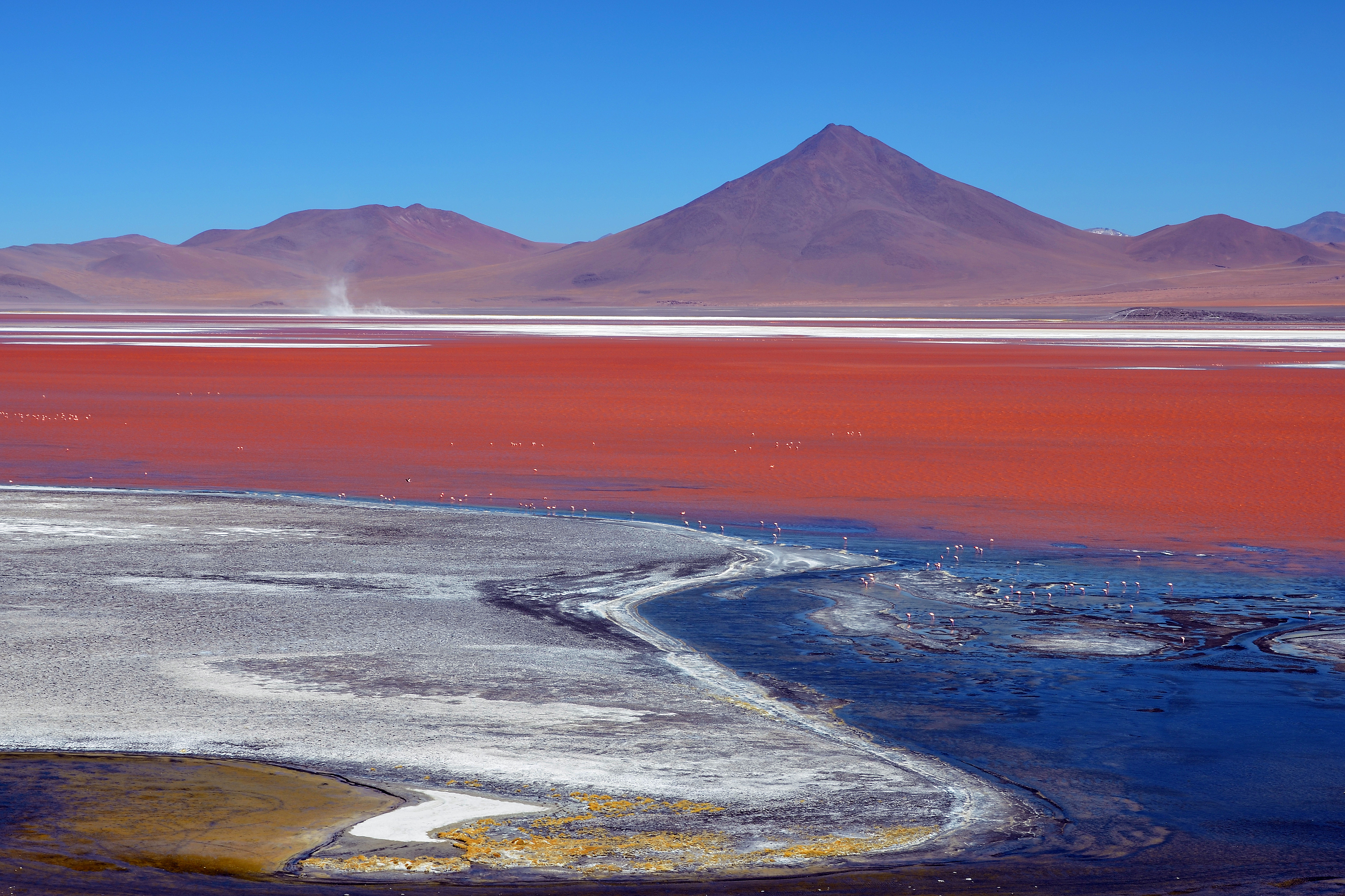 Laguna Colorada
