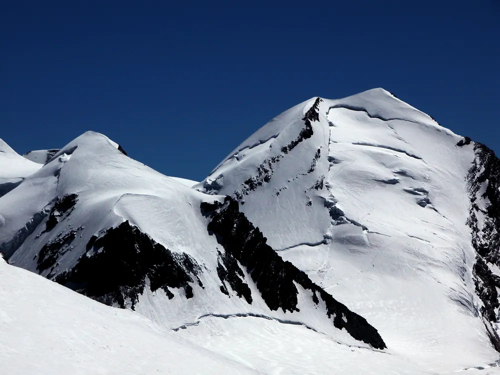 Castor