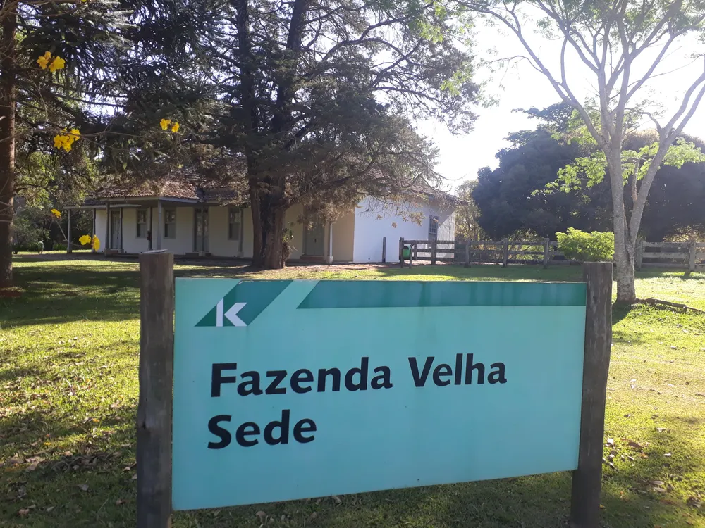 Fazenda Velha (Telêmaco Borba)