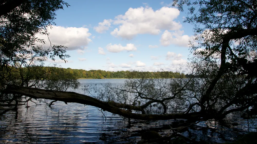 Sorø Lake