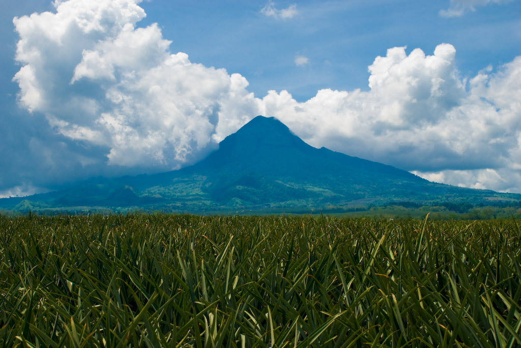 Mount Matutum