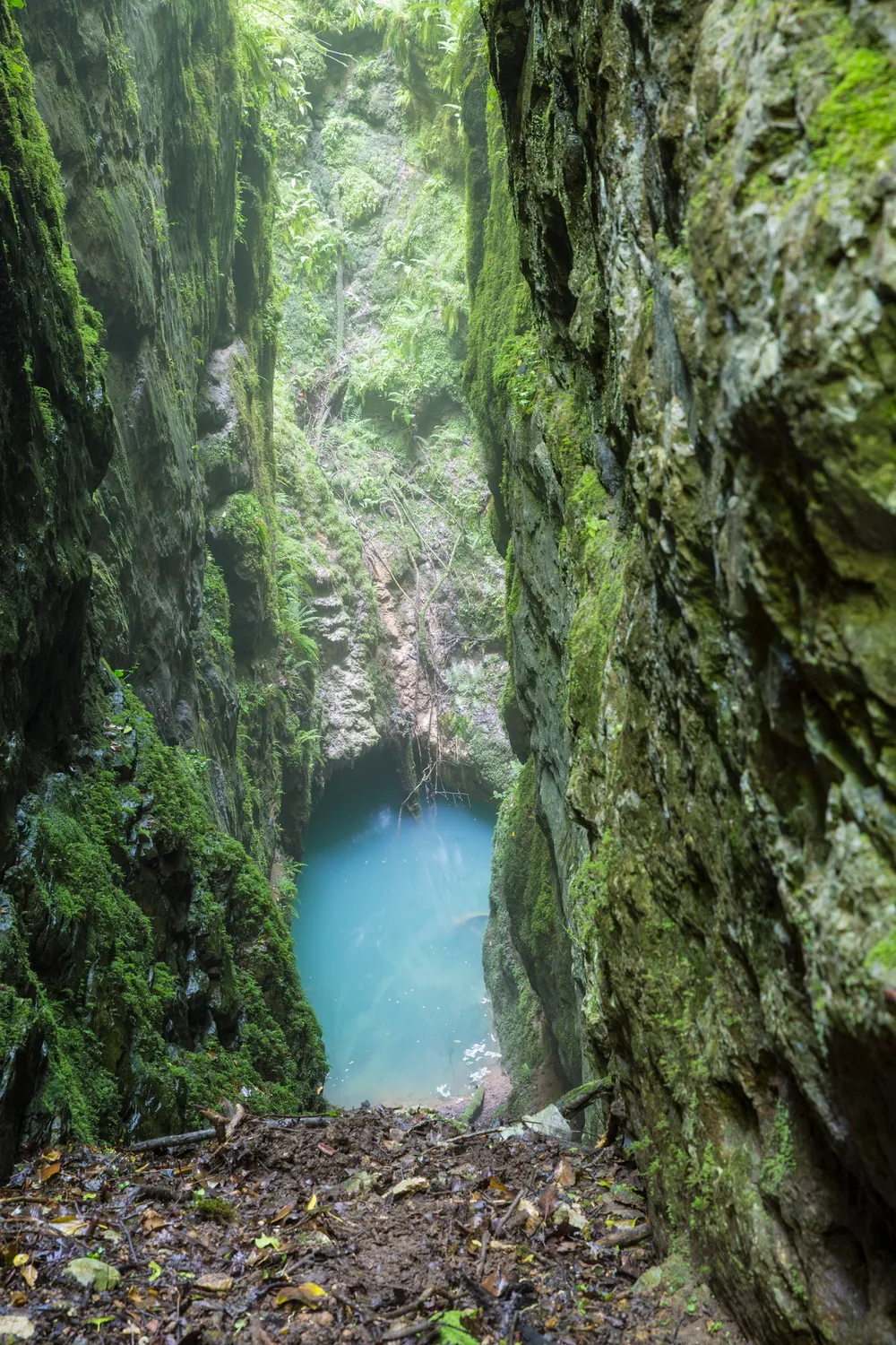 Gabzaruli Tba Natural Monument