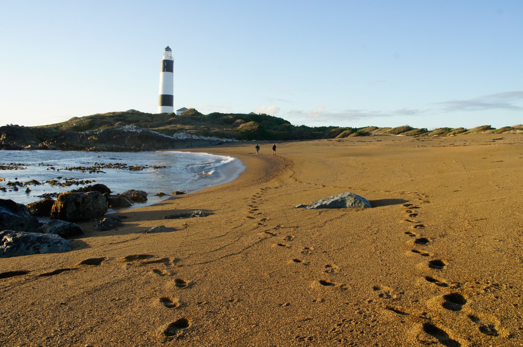 Dog Island
