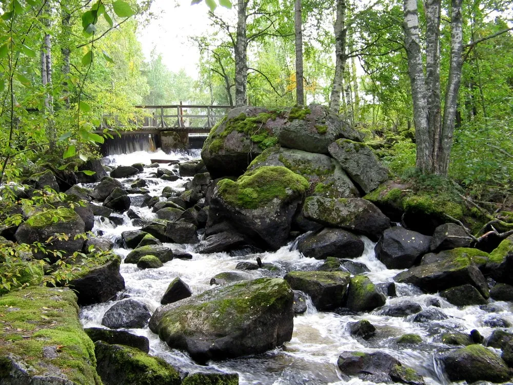 Kannonselkä