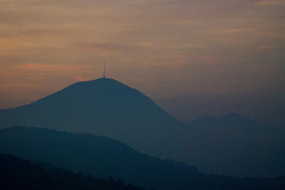 Ovčar