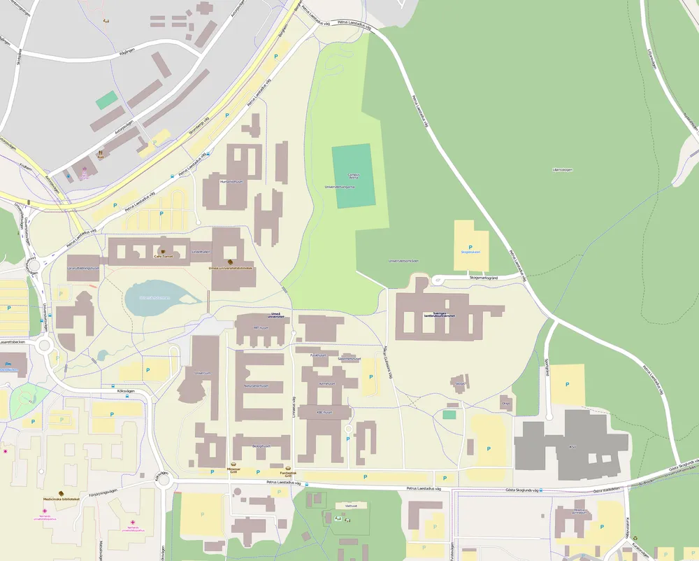 Umeå University