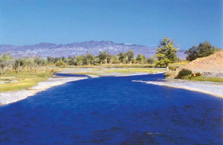 Bulgan Gol-Ikh Ongog National Park