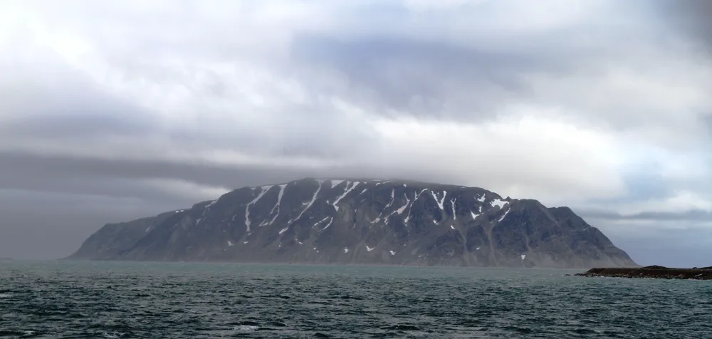 Fuglesongen