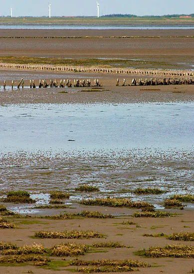 Wadden Sea National Park