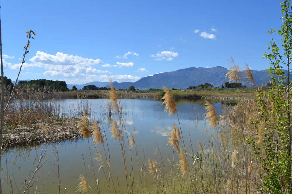 Albufera of Gaianes