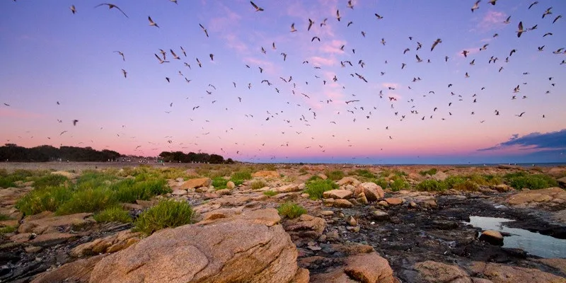 Islote Lobos National Park