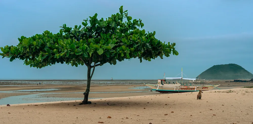 Sicogon Island