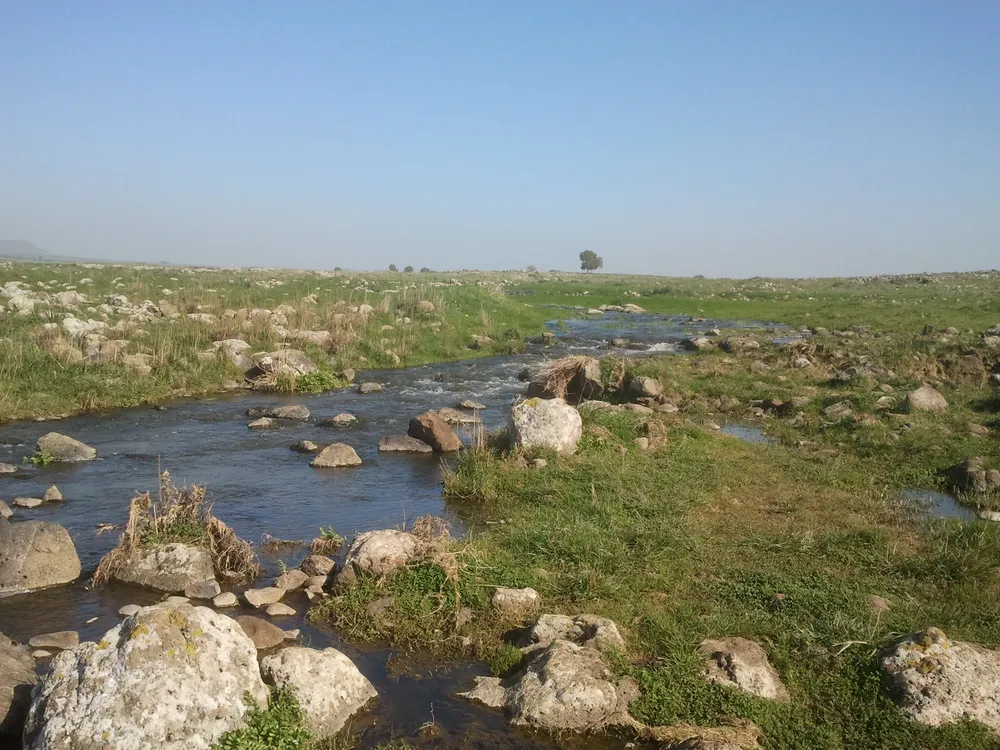Yehudiya Forest Nature Reserve